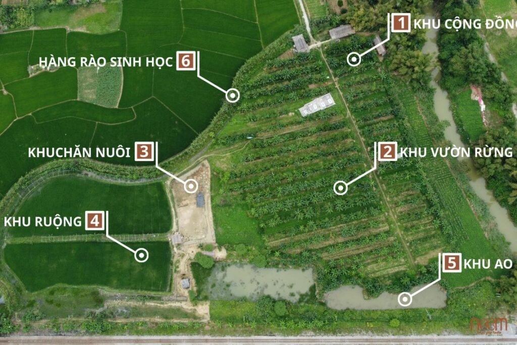 Quality Standards Set for Sustainable Agricultural Practices and Production at Noom Food 3 Do not eradicate species, restore natural ecosystems to self-balance populations, no discrimination between beneficial and harmful organisms that coexist.