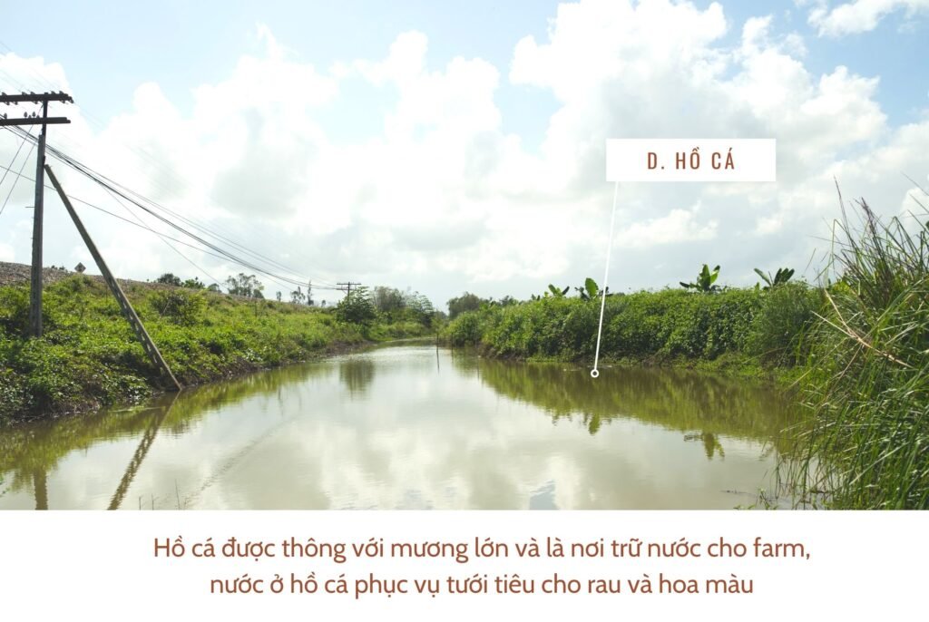 ho-ca-cua-he-thong-tuoi-tieu-1024x686-1 ho ca cua he thong tuoi tieu 1024x686 1