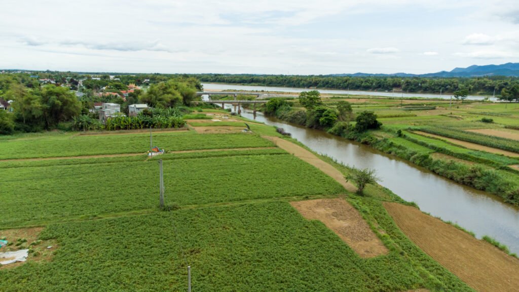 lac-huu-co-sinh-thai-noom-xuan-nam-dai-thang