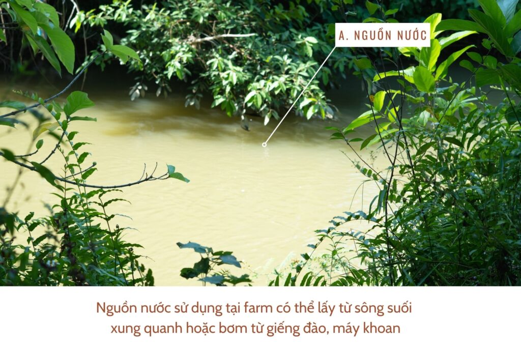 nguon-nuoc-trong-he-thong-tuoi-tieu-1024x686-1 nguon-nuoc-trong-he-thong-tuoi-tieu