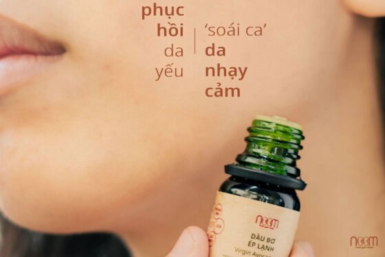 nom-dau-bo-ep-lanh-560x374-1 nom dau bo ep lanh 560x374 1
