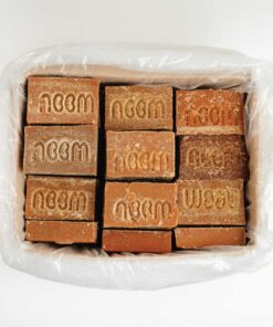 noom duong mia tho 261124 21