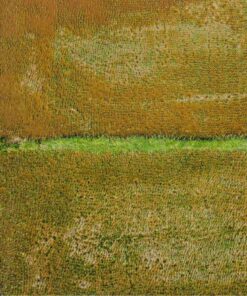 noom nep lut 210624 4.2