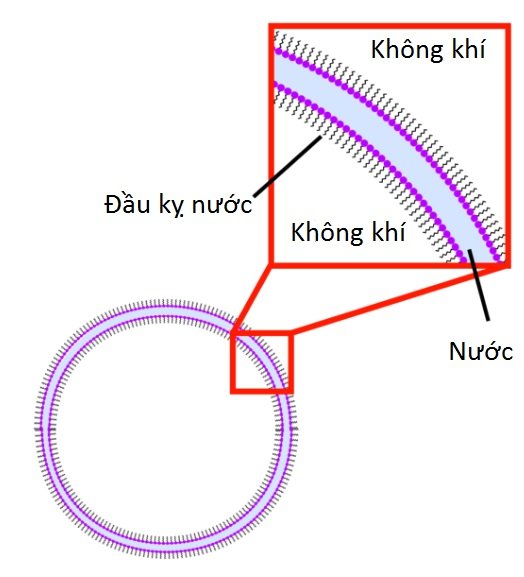 tại sao xà bông có bọt