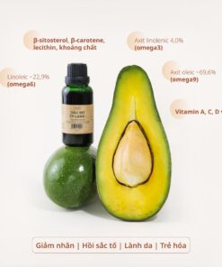 tinh chat trong dau bo