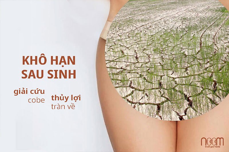 Noom.Web