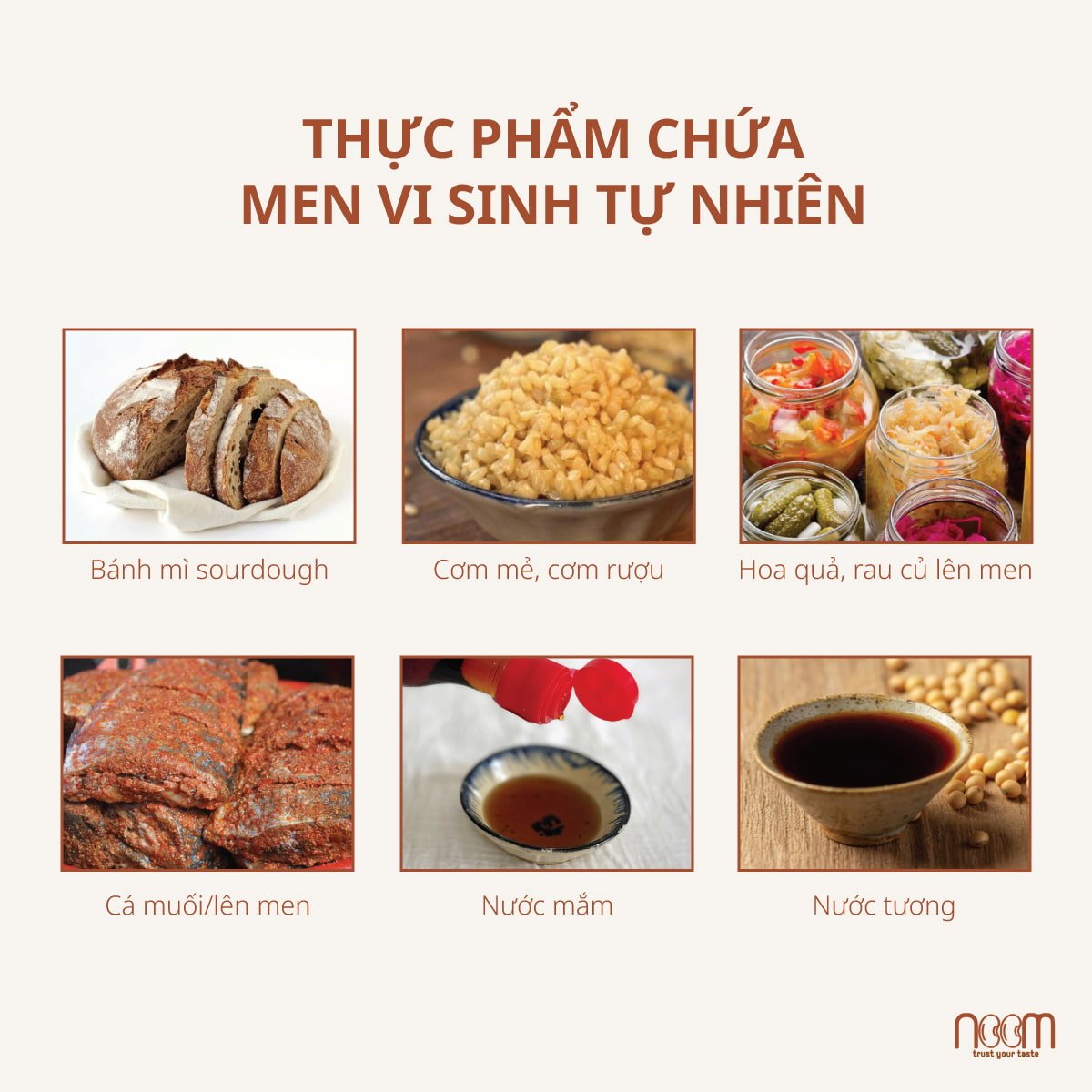 Hình 4: thực phẩm tự nhiên chứa probiotic