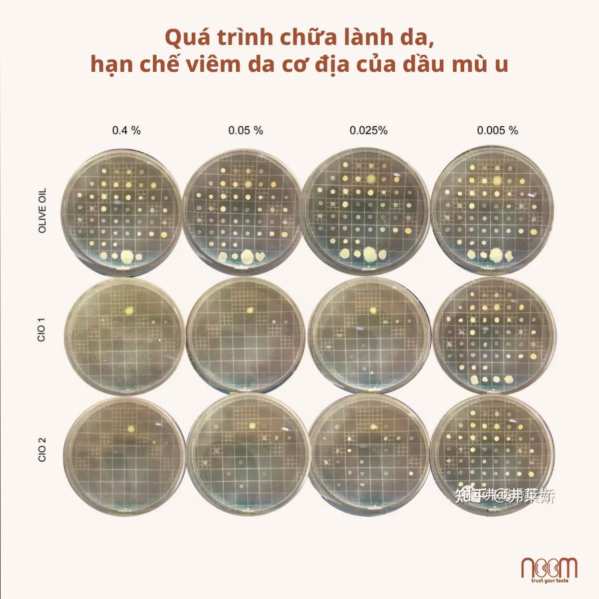 Phục Hồi Da Chuẩn Y Khoa