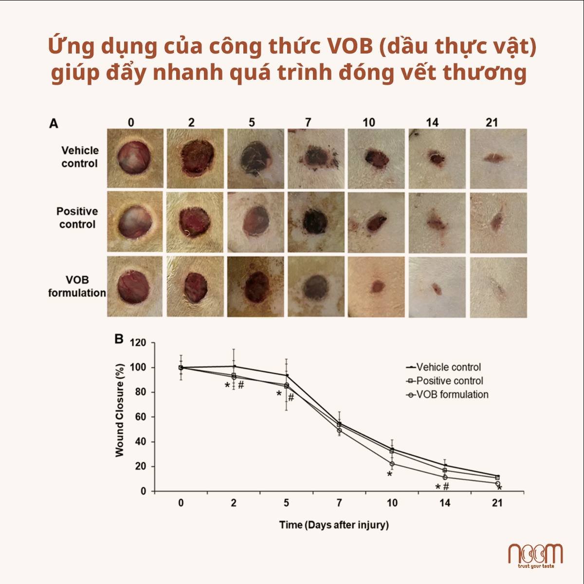 Phục Hồi Da Chuẩn Y Khoa – Liệu Có Chuẩn Phục Hồi Tự Nhiên? 3 Phục Hồi Da Chuẩn Y Khoa