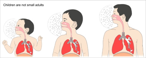 Tác Hại Mùi Hương Trong Nước Giặt Cho Trẻ Sơ Sinh & Trẻ Nhỏ 3 Tỷ lệ hạt hít vào của trẻ em cao hơn người lớn. Nguồn ScienceDirect.