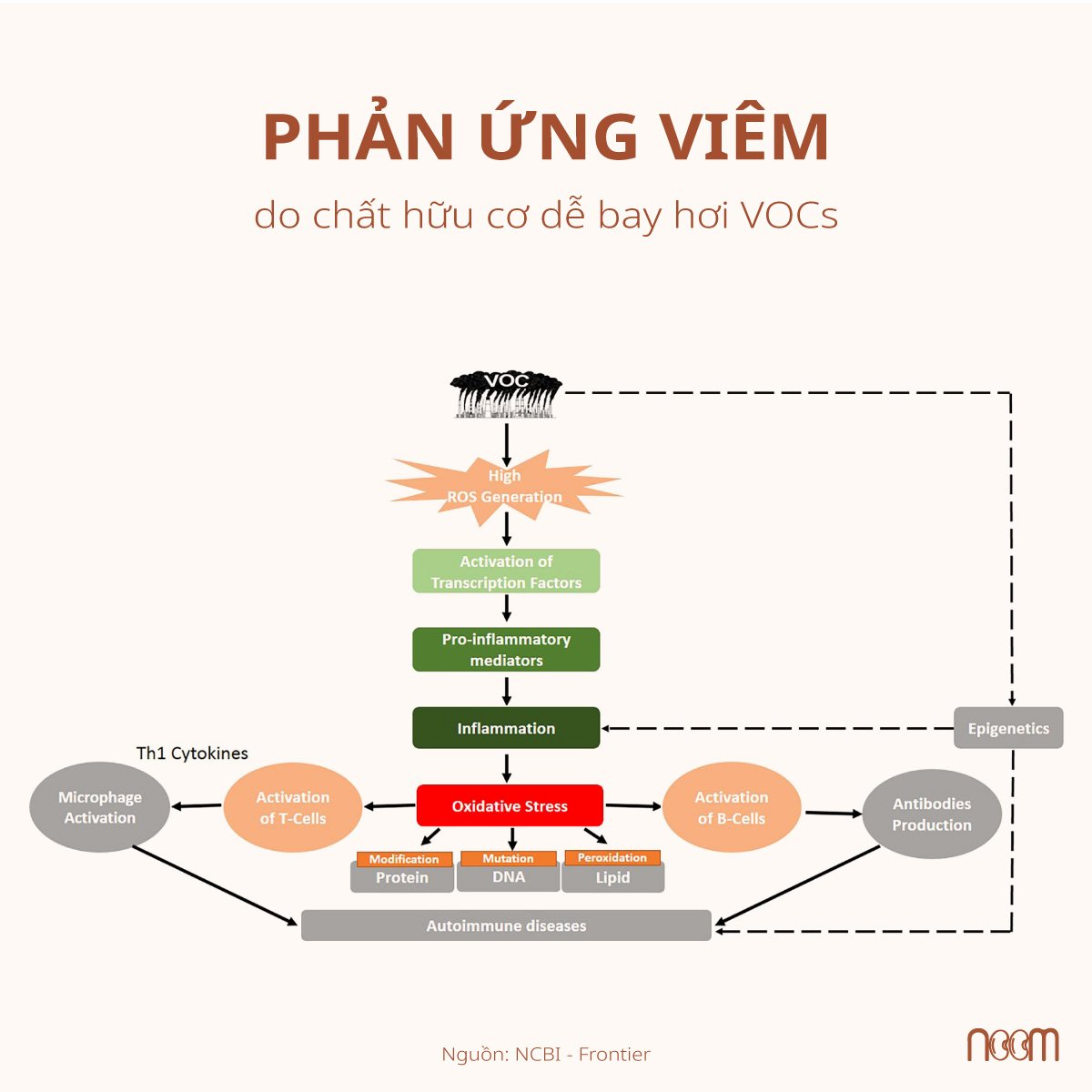 tac hai mui huong nuoc giat cho tre so sinh 3
