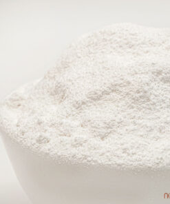 noom bot nep 170824 6