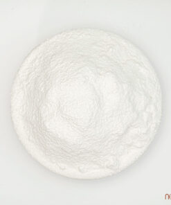 noom bot nep 170824 7