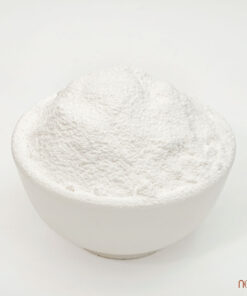 noom bot nep 170824 8