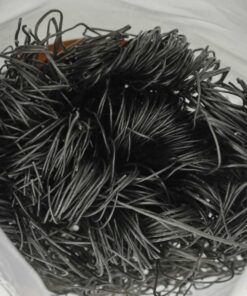 noom my me den 260824 3