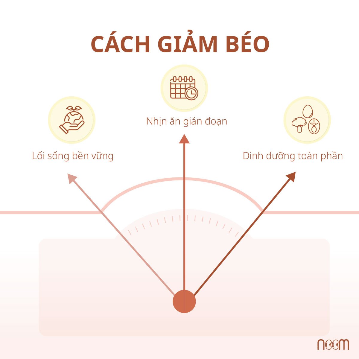 noom giam beo 241124 4