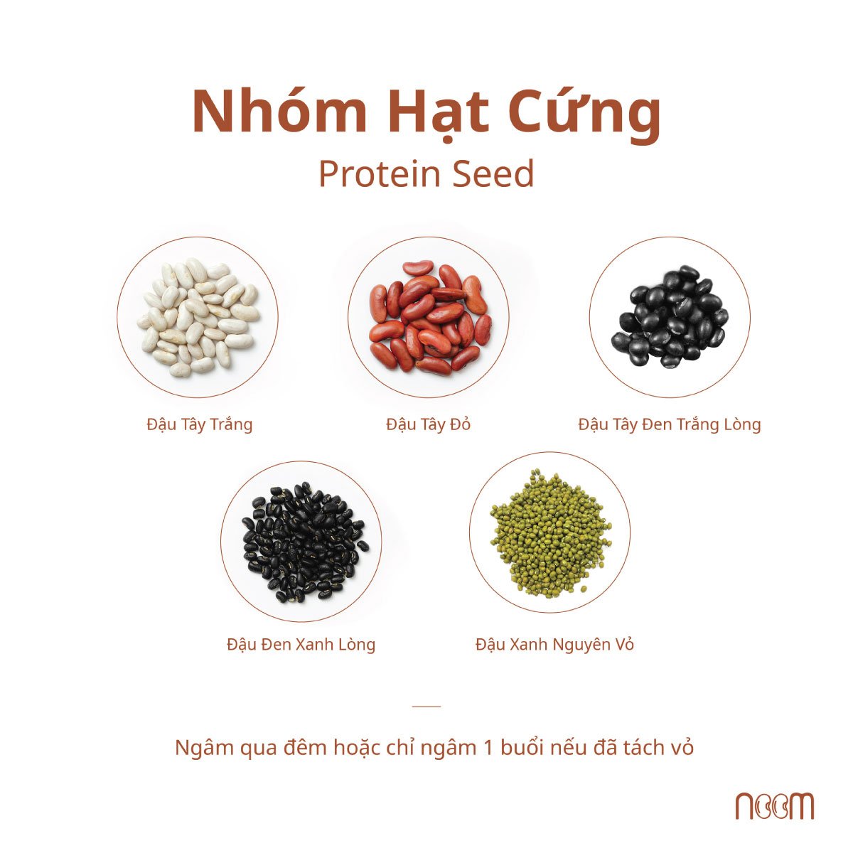 Thời Gian Ngâm Các Loại Hạt Dinh Dưỡng Lý Tưởng, Bạn Đã Biết? 1 Nhóm hạt cứng - Protein Seeds