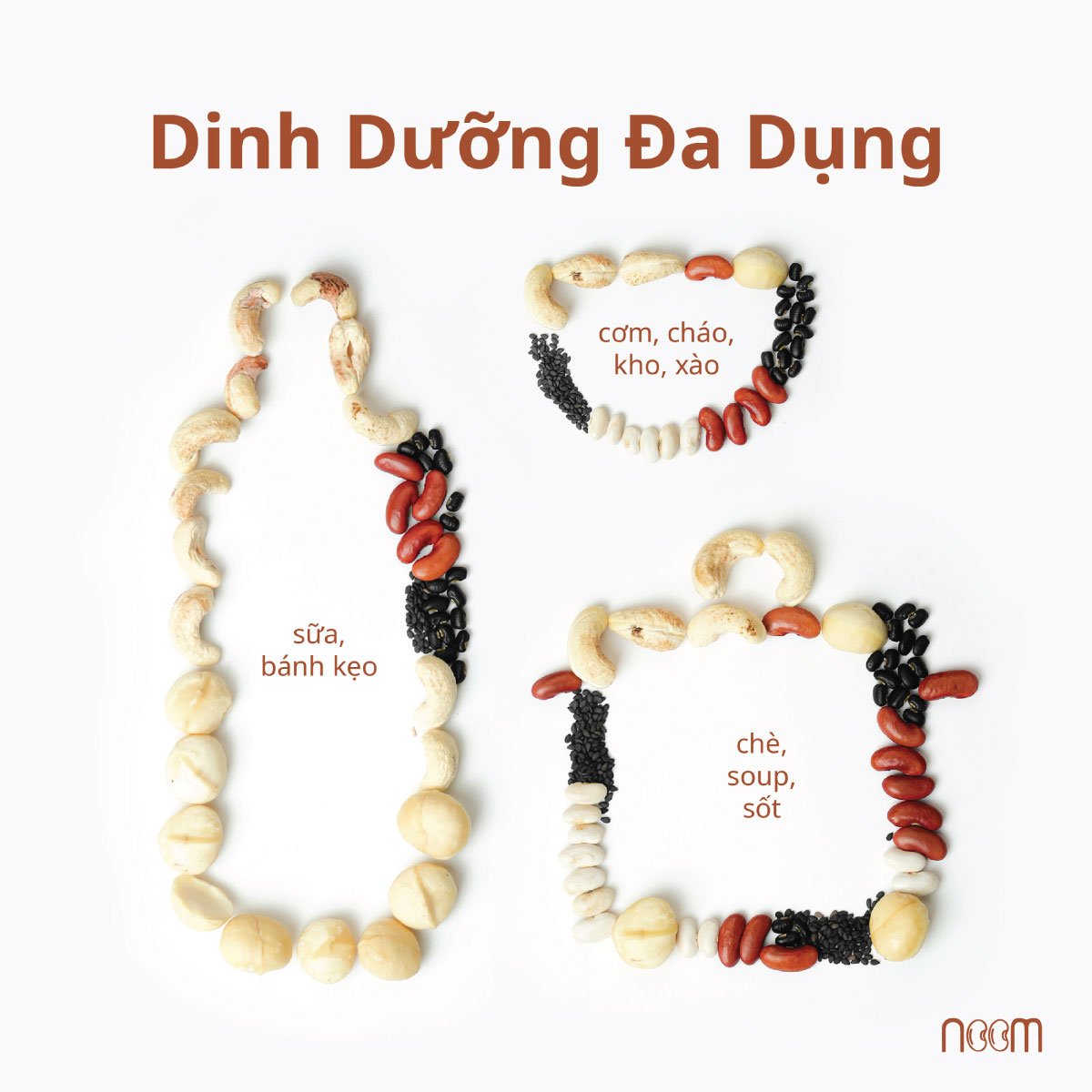 Thời Gian Ngâm Các Loại Hạt Dinh Dưỡng Lý Tưởng, Bạn Đã Biết? 3 Dinh dưỡng đa dạng, chế biến vạn món dễ dàng