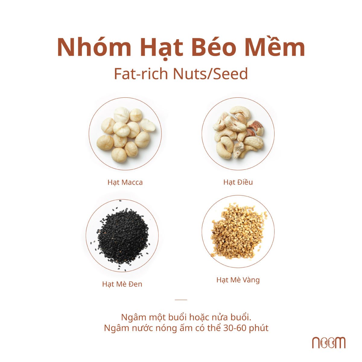 Thời Gian Ngâm Các Loại Hạt Dinh Dưỡng Lý Tưởng, Bạn Đã Biết? 2 Nhóm hạt béo mềm - Fat-rich Nuts/Seeds