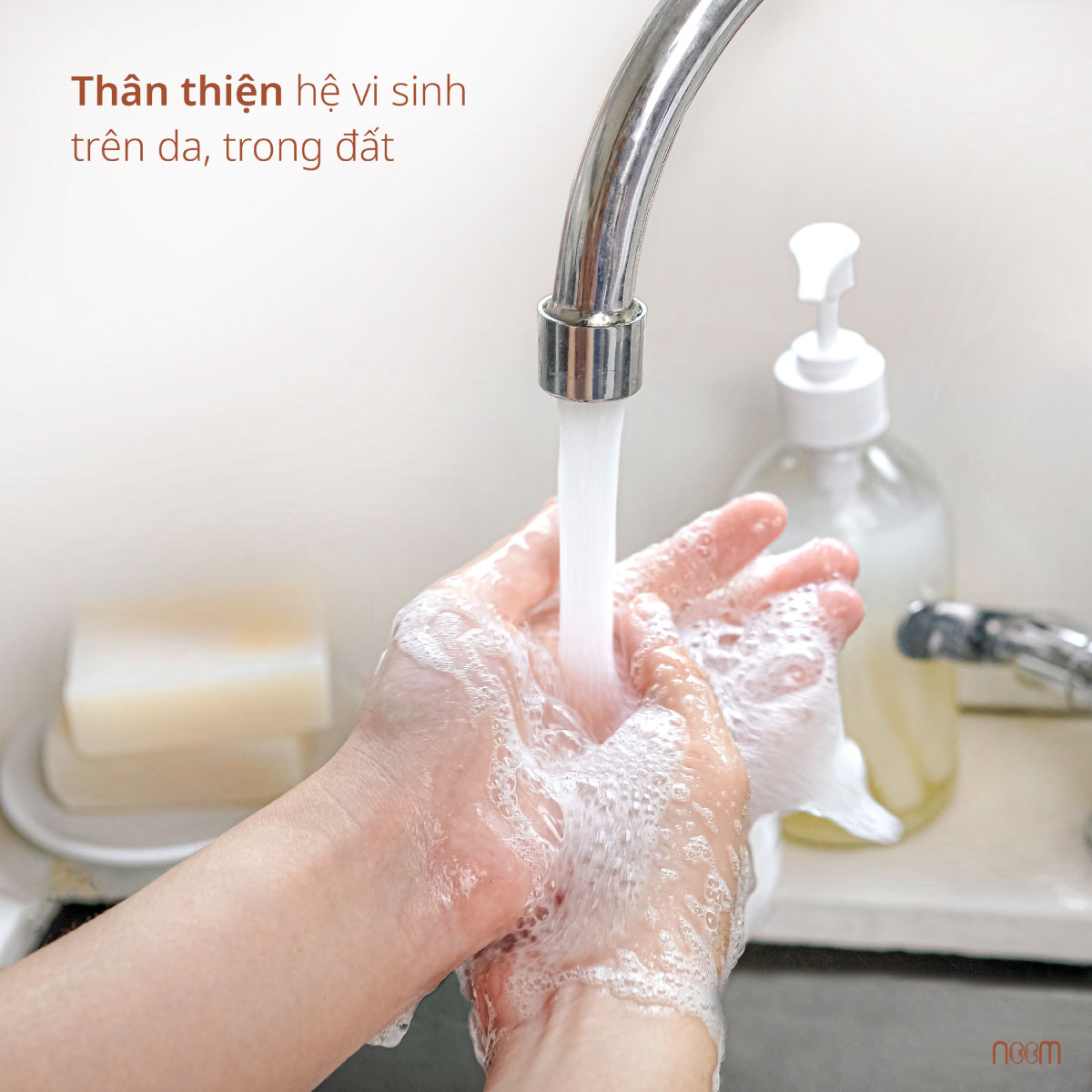 xà bông rửa chén