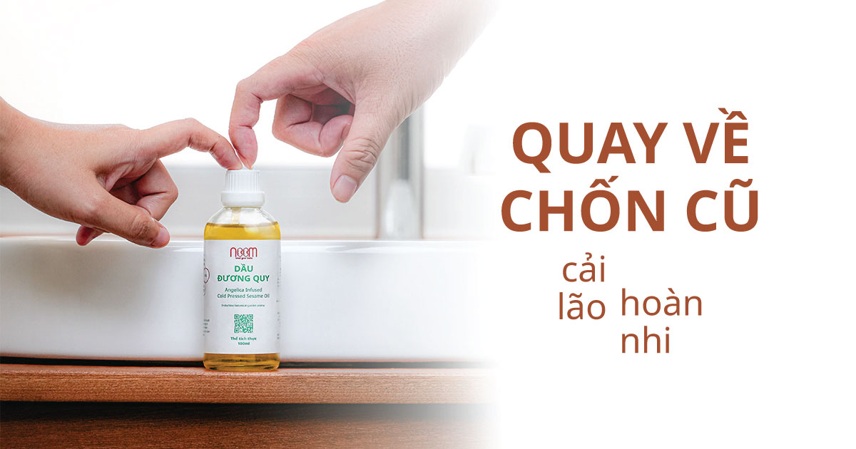 Công Dụng Dầu Đương Quy – Pro Aging Bền Vững, Cải Lão Hoàn Nhi 4 công dụng dầu đương quy