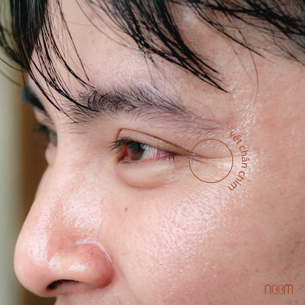 Công Dụng Dầu Đương Quy – Pro Aging Bền Vững, Cải Lão Hoàn Nhi 2 công dụng dầu đương quy