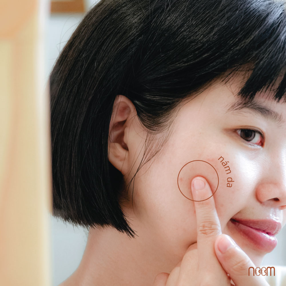 Công Dụng Dầu Đương Quy – Pro Aging Bền Vững, Cải Lão Hoàn Nhi 1 công dụng dầu đương quy