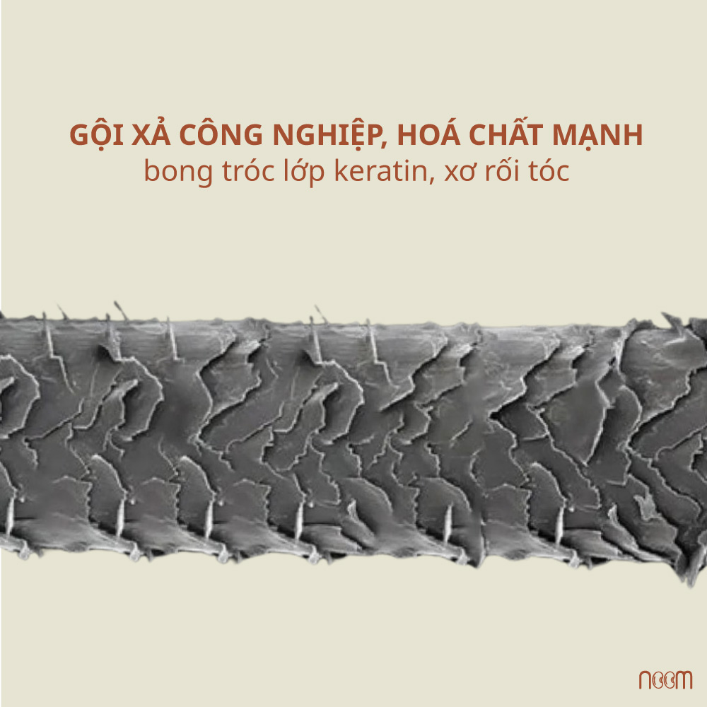 tóc khô xơ tóc cần ủ dầu hair oiling