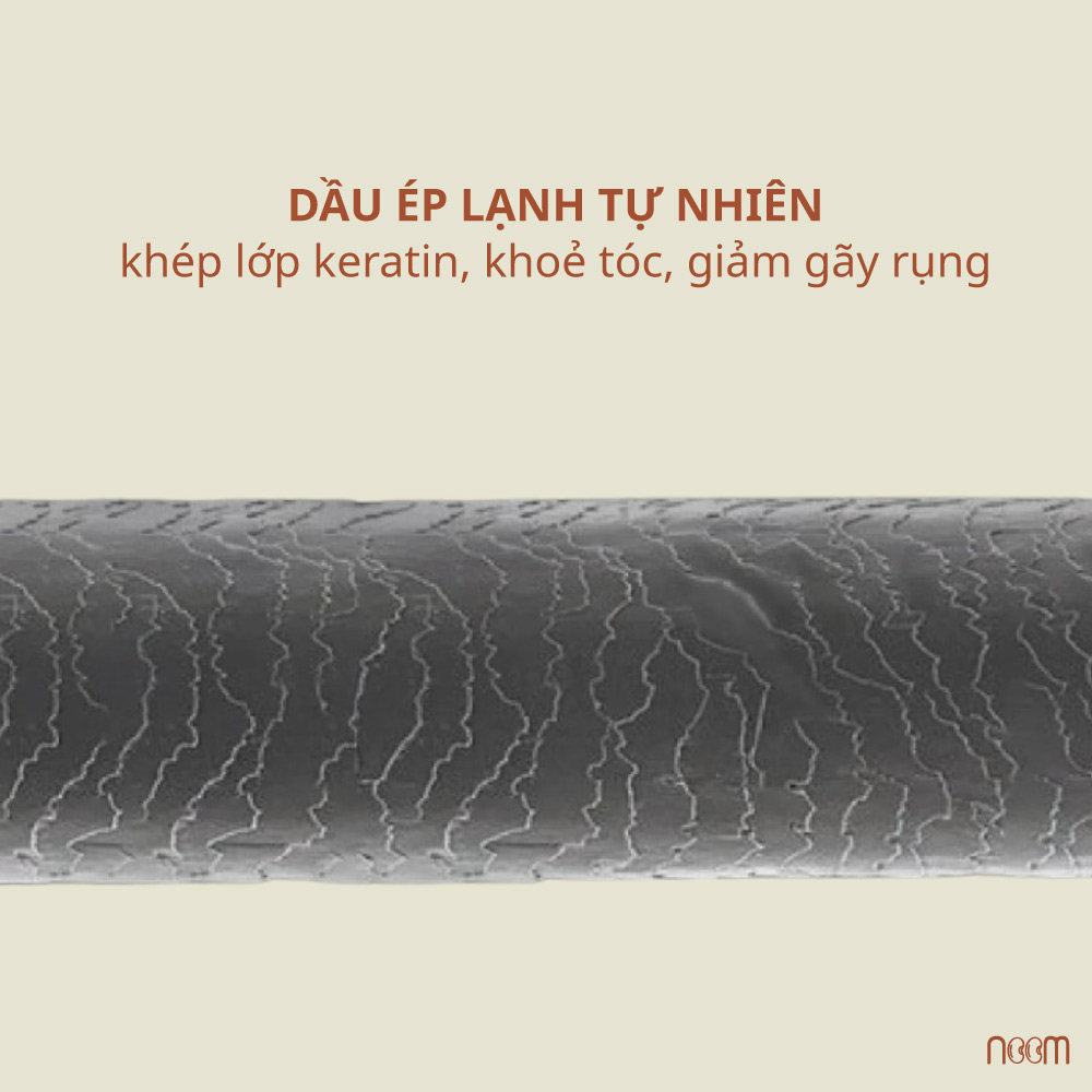 tóc khô xơ tóc cần ủ dầu hair oiling