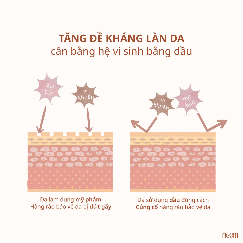 Lỗ Chân Lông To Bít Tắc – Càng Nên Oil Skincare 3 lỗ chân lông to