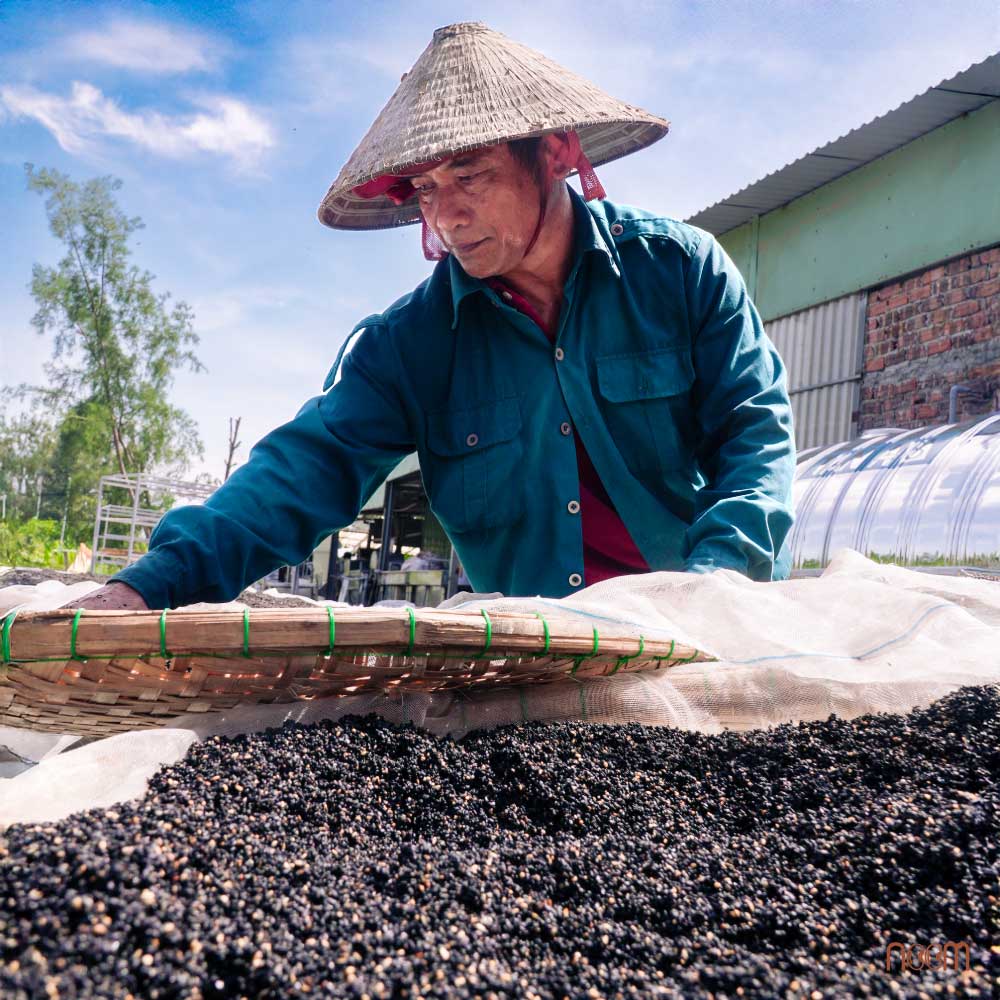 Quy trình sản xuất dầu mè đen ép lạnh