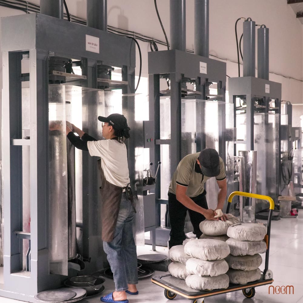 Quy trình sản xuất dầu mè đen ép lạnh