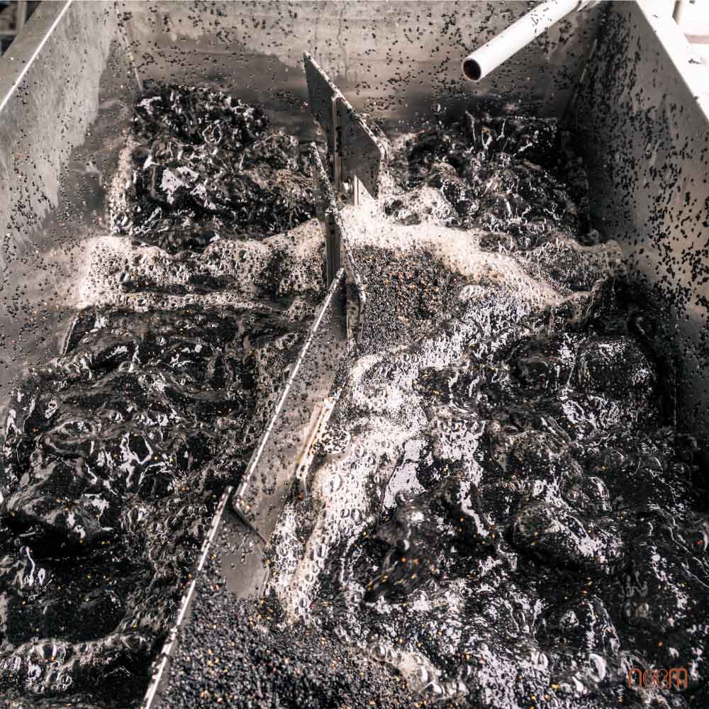 Quy trình sản xuất dầu mè đen ép lạnh